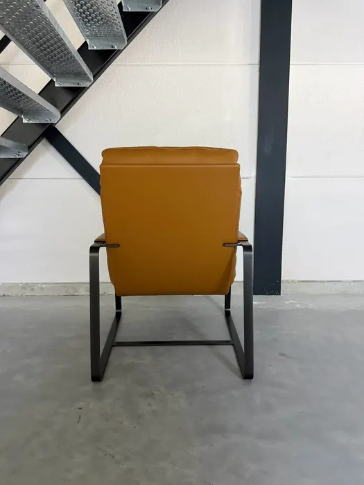 Leolux Indra fauteuil, Ceras Brandy — Fauteuil (foto 4)